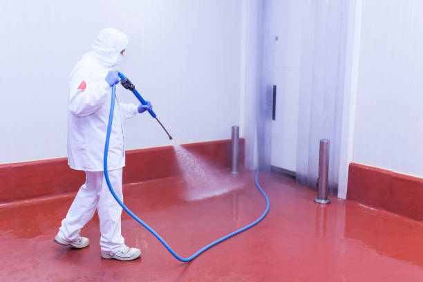 Best Sign and Awning Cleaning  in Borger, TX